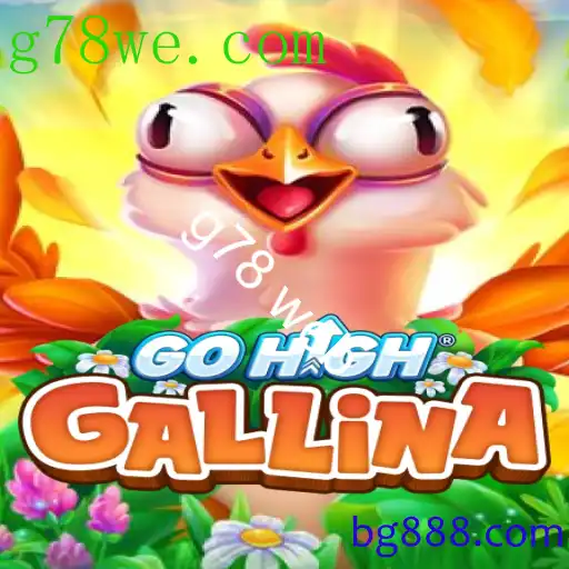 GoHighGallina
